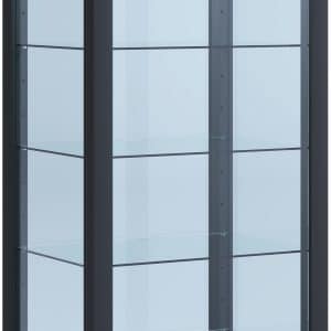 Vitrineskab i glas, 115 x 50 x 38 cm, sort