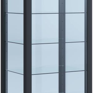 Vitrineskab i glas, 115 x 50 x 38 cm, sort