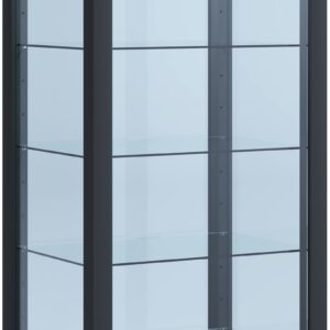 Vitrineskab i glas, 115 x 50 x 38 cm, sort